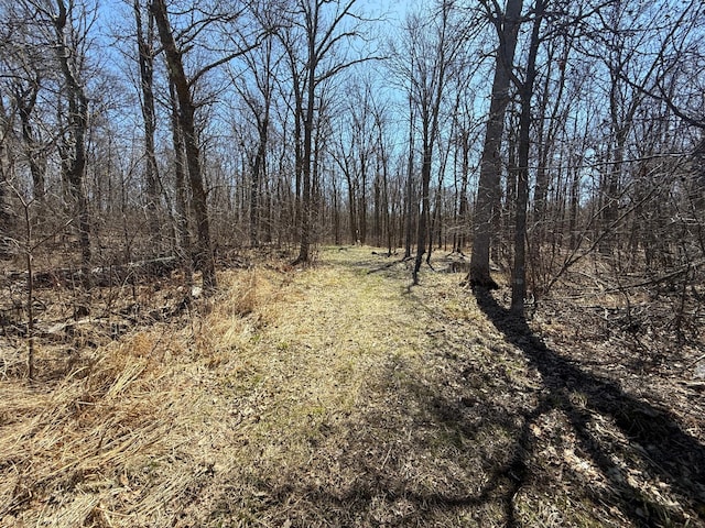 TBD Mayo Lake Rd, Pequot Lakes, MN 56472