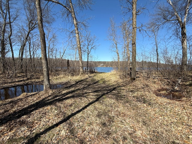 TBD Mayo Lake Rd, Pequot Lakes, MN 56472