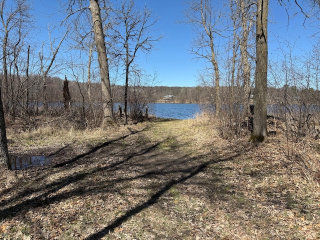 TBD Mayo Lake Rd, Pequot Lakes, MN 56472