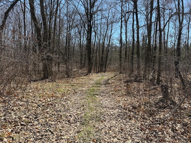 TBD Mayo Lake Rd, Pequot Lakes, MN 56472