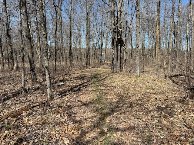 TBD Mayo Lake Rd, Pequot Lakes, MN 56472