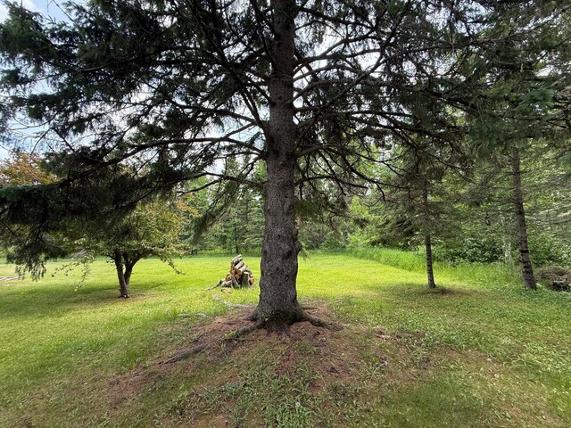 3512 Ahola Rd, Brimson, MN 55602 - photo 67