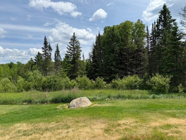 3512 Ahola Rd, Brimson, MN 55602 - photo 69