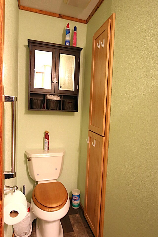 bathroom featuring toilet