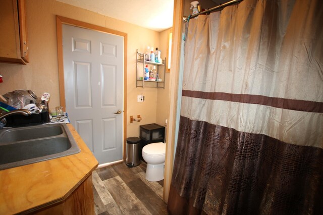 bathroom with toilet, vanity, wood finished floors, and curtained shower