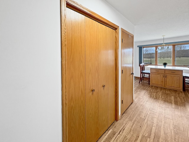 hallway featuring light wood finished floors