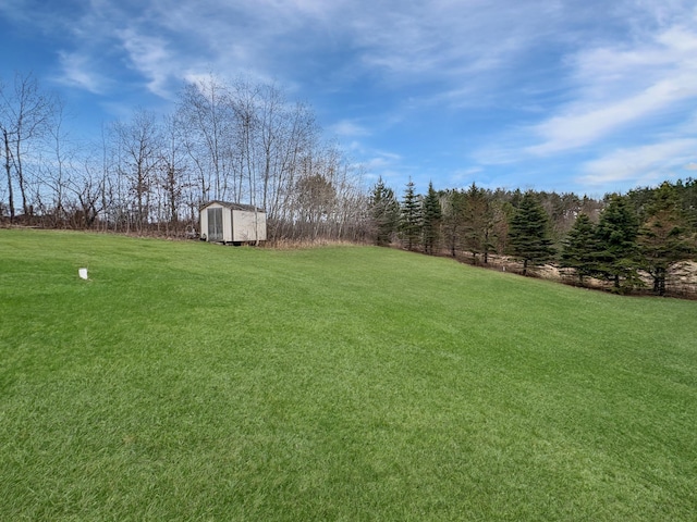 view of yard featuring an outdoor structure and a shed