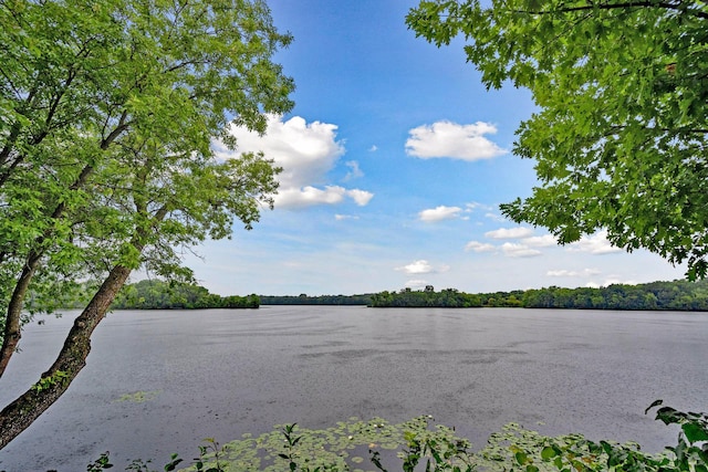 5475 Trailhead Ln SE, Prior Lake, MN 55372 - photo 63