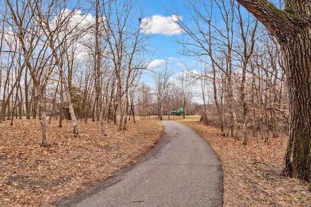 5475 Trailhead Ln SE, Prior Lake, MN 55372 - photo 70