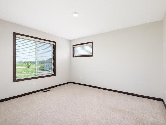 1117 Dorthy Ln, Elko New Market, MN 55054 - photo 25