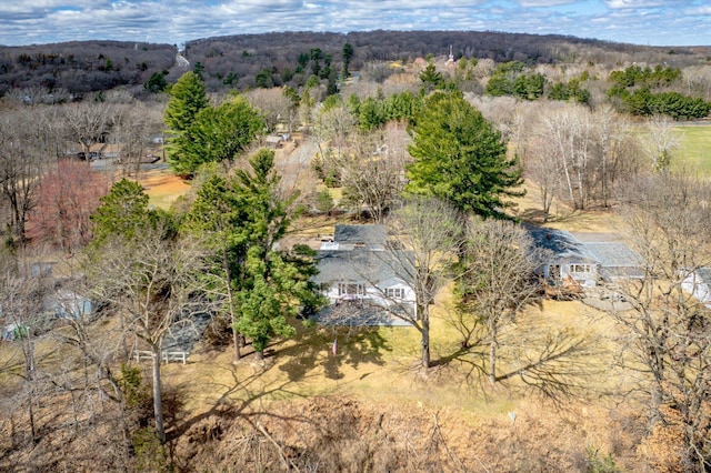 312 Walnut St, Taylors Falls, MN 55084 - view from above of property