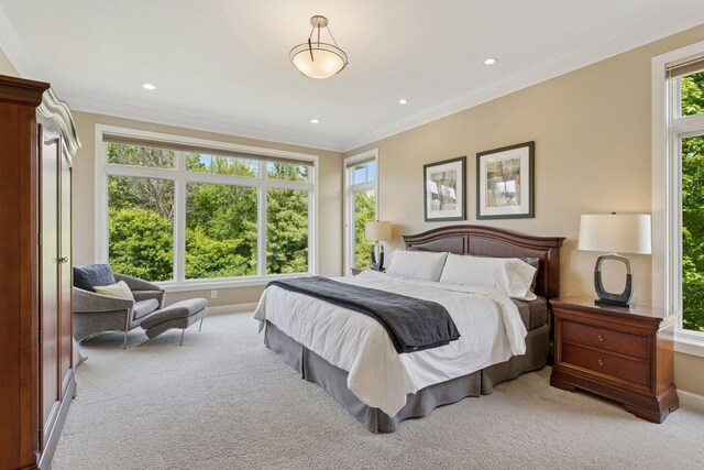 9726 Whistling Valley Rd, Lake Elmo, MN 55042 - bedroom featuring carpet flooring, crown molding, baseboards, and recessed lighting