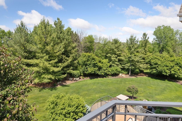 9726 Whistling Valley Rd, Lake Elmo, MN 55042 - view of grassy yard