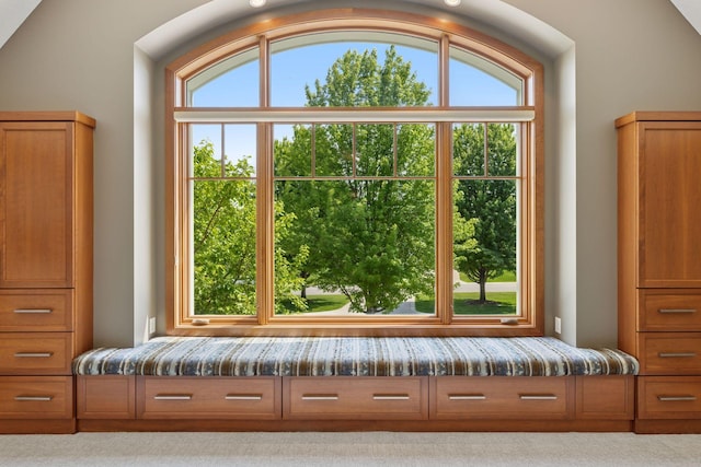 9726 Whistling Valley Rd, Lake Elmo, MN 55042 - detailed view