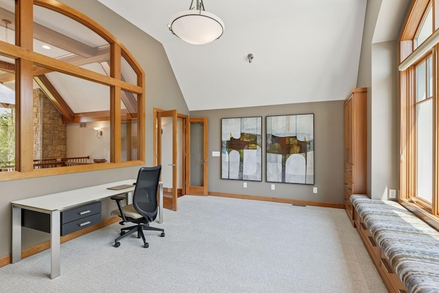 9726 Whistling Valley Rd, Lake Elmo, MN 55042 - home office with vaulted ceiling, light carpet, healthy amount of natural light, and baseboards