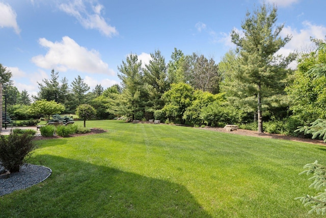 9726 Whistling Valley Rd, Lake Elmo, MN 55042 - photo 96