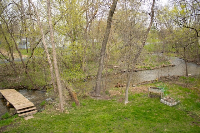 view of yard featuring a garden