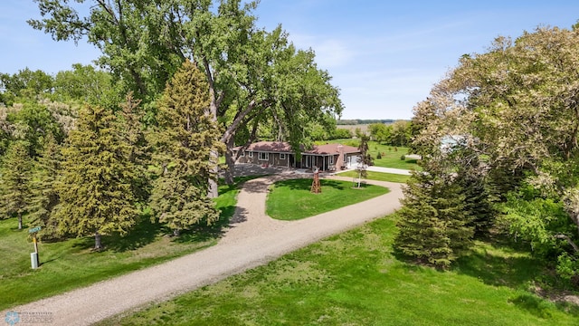 2368 State Highway 9 N, Spring Prairie Twp, MN 56547 - view of community featuring driveway and a yard