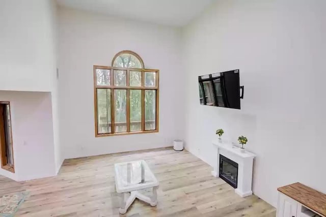655 Trails End Rd, Minnetrista, MN 55364 - unfurnished living room with a glass covered fireplace and light wood finished floors