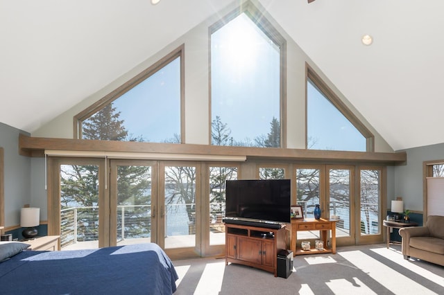 3008 Highland Blvd, Mound, MN 55364 - bedroom featuring high vaulted ceiling, access to exterior, and carpet floors