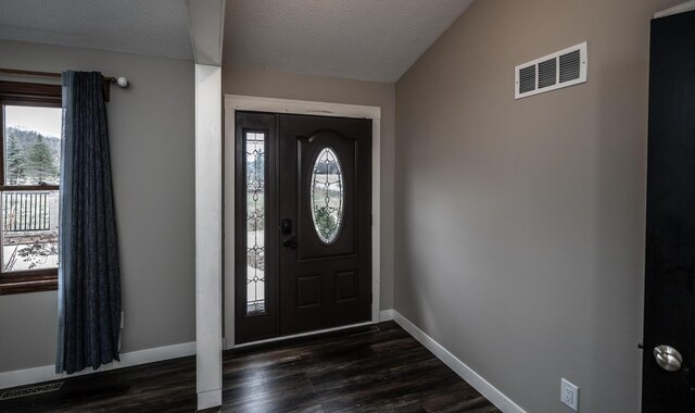 32955 County 24th Blvd, Cannon Falls, MN 55009 - foyer entrance featuring a textured ceiling, baseboards, visible vents, and a wealth of natural light