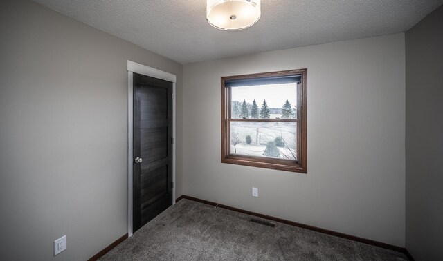 32955 County 24th Blvd, Cannon Falls, MN 55009 - spare room featuring carpet flooring, visible vents, baseboards, and a textured ceiling