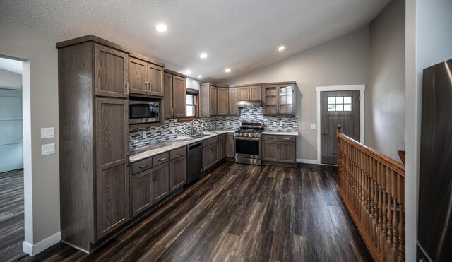 32955 County 24th Blvd, Cannon Falls, MN 55009 - kitchen featuring a sink, dark wood-style floors, stainless steel appliances, decorative backsplash, and lofted ceiling