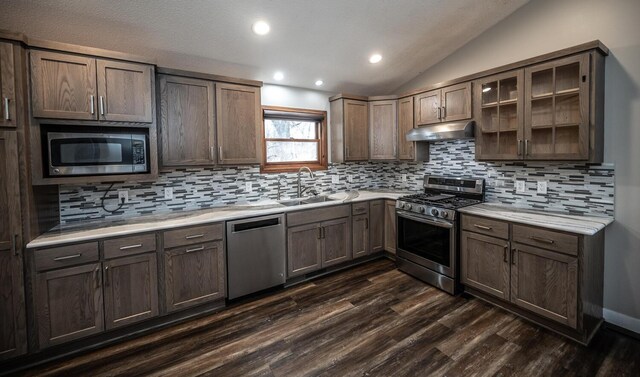 32955 County 24th Blvd, Cannon Falls, MN 55009 - kitchen featuring under cabinet range hood, a sink, lofted ceiling, stainless steel appliances, and dark wood-style floors