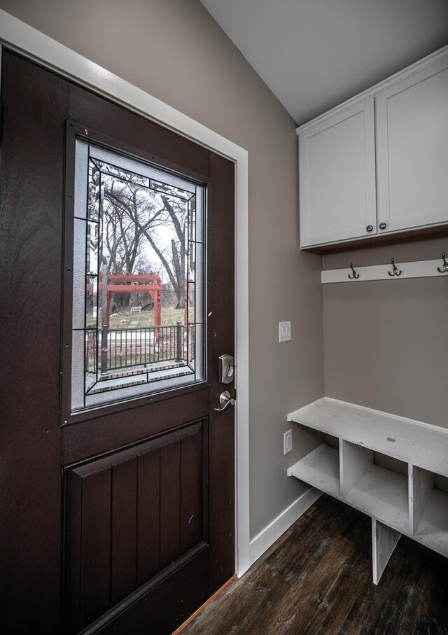 32955 County 24th Blvd, Cannon Falls, MN 55009 - mudroom with dark wood-style flooring, baseboards, and vaulted ceiling