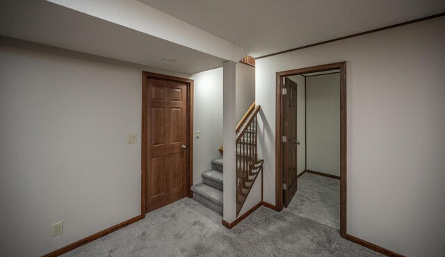 32955 County 24th Blvd, Cannon Falls, MN 55009 - finished basement featuring light carpet, stairs, and baseboards