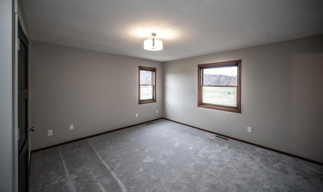 32955 County 24th Blvd, Cannon Falls, MN 55009 - photo 39