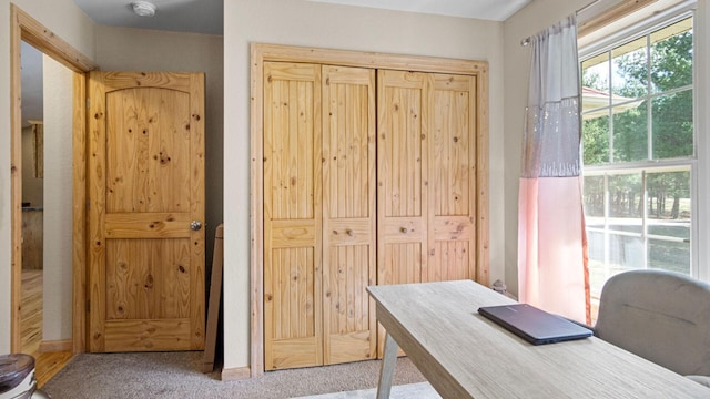 view of carpeted home office