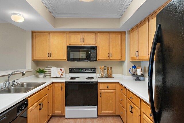 15625 24th Ave N Unit G, Plymouth, MN 55447 - kitchen featuring black appliances, a sink, light countertops, light wood-style floors, and crown molding