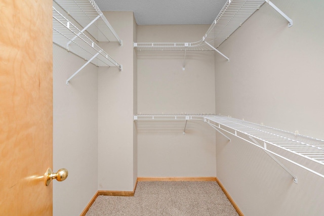 15625 24th Ave N Unit G, Plymouth, MN 55447 - walk in closet featuring carpet flooring