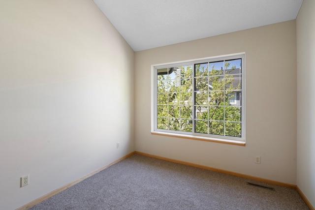 15625 24th Ave N Unit G, Plymouth, MN 55447 - carpeted spare room with baseboards and vaulted ceiling