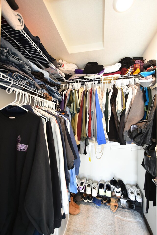 spacious closet with carpet and a raised ceiling