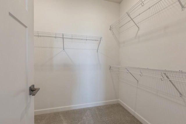 walk in closet with carpet