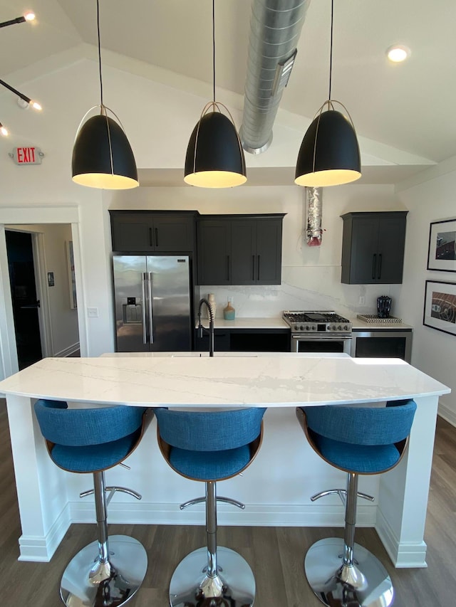 kitchen featuring dark wood-type flooring, a sink, lofted ceiling, and stainless steel appliances