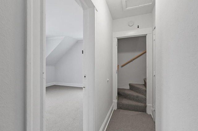 hall with baseboards, vaulted ceiling, attic access, and carpet floors