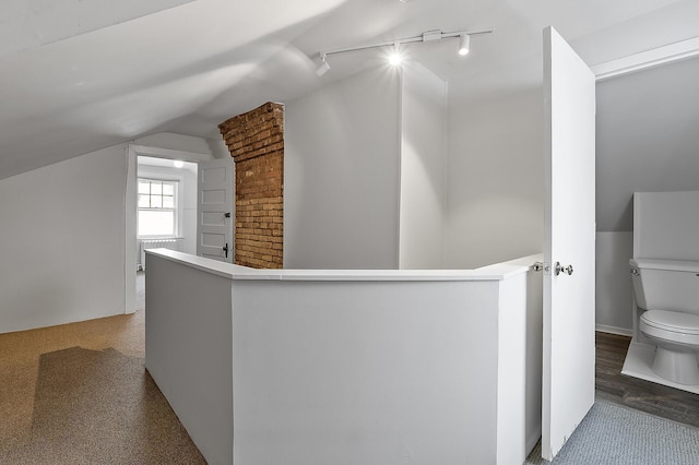 interior space with rail lighting, vaulted ceiling, and toilet