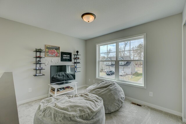 11422 34th St N, Lake Elmo, MN 55042 - living area with baseboards and carpet