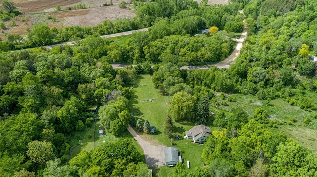 32673 Rosewood Ln, Saint Peter, MN 56082 - aerial view of property and surrounding area