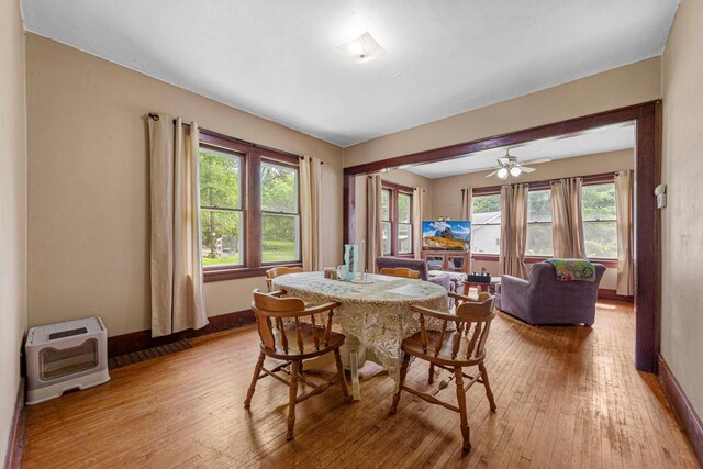 32673 Rosewood Ln, Saint Peter, MN 56082 - dining area with wood-type flooring, heating unit, healthy amount of natural light, and baseboards