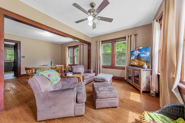 32673 Rosewood Ln, Saint Peter, MN 56082 - living room with ceiling fan, healthy amount of natural light, and light wood-style floors