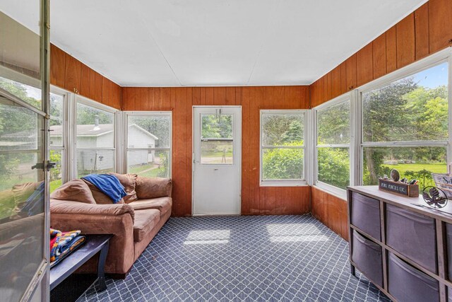 32673 Rosewood Ln, Saint Peter, MN 56082 - sunroom / solarium with wood walls