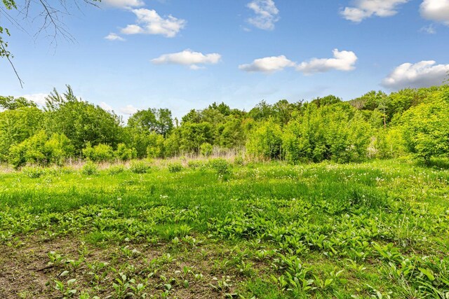 32673 Rosewood Ln, Saint Peter, MN 56082 - view of nature