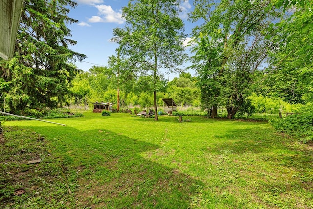 32673 Rosewood Ln, Saint Peter, MN 56082 - view of green lawn