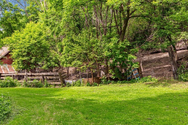 32673 Rosewood Ln, Saint Peter, MN 56082 - view of grassy yard
