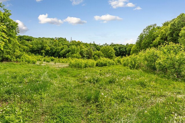32673 Rosewood Ln, Saint Peter, MN 56082 - view of woods