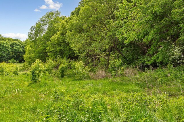 32673 Rosewood Ln, Saint Peter, MN 56082 - view of wooded area